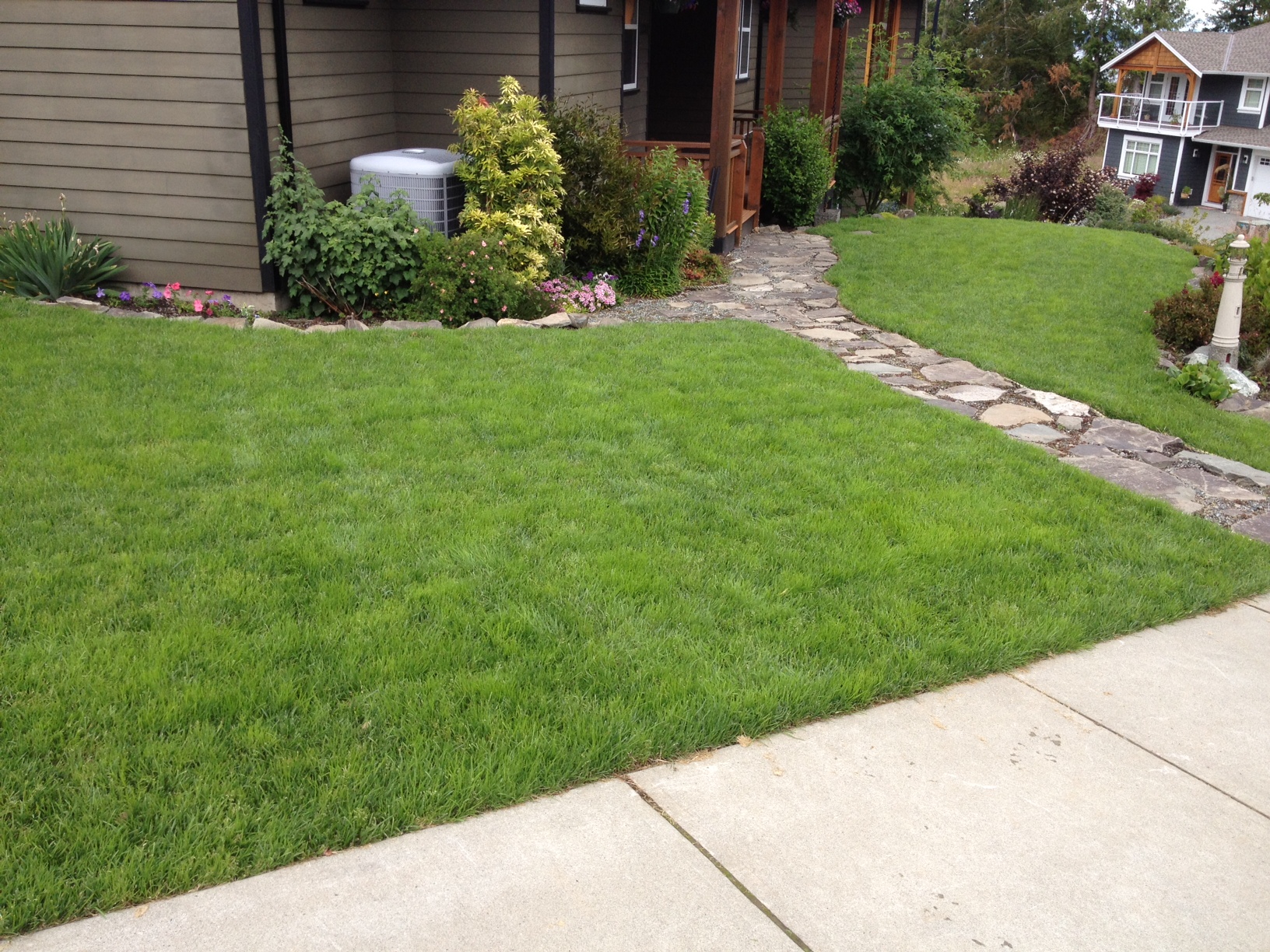Lush Eco Lawns » Lawn Renovations